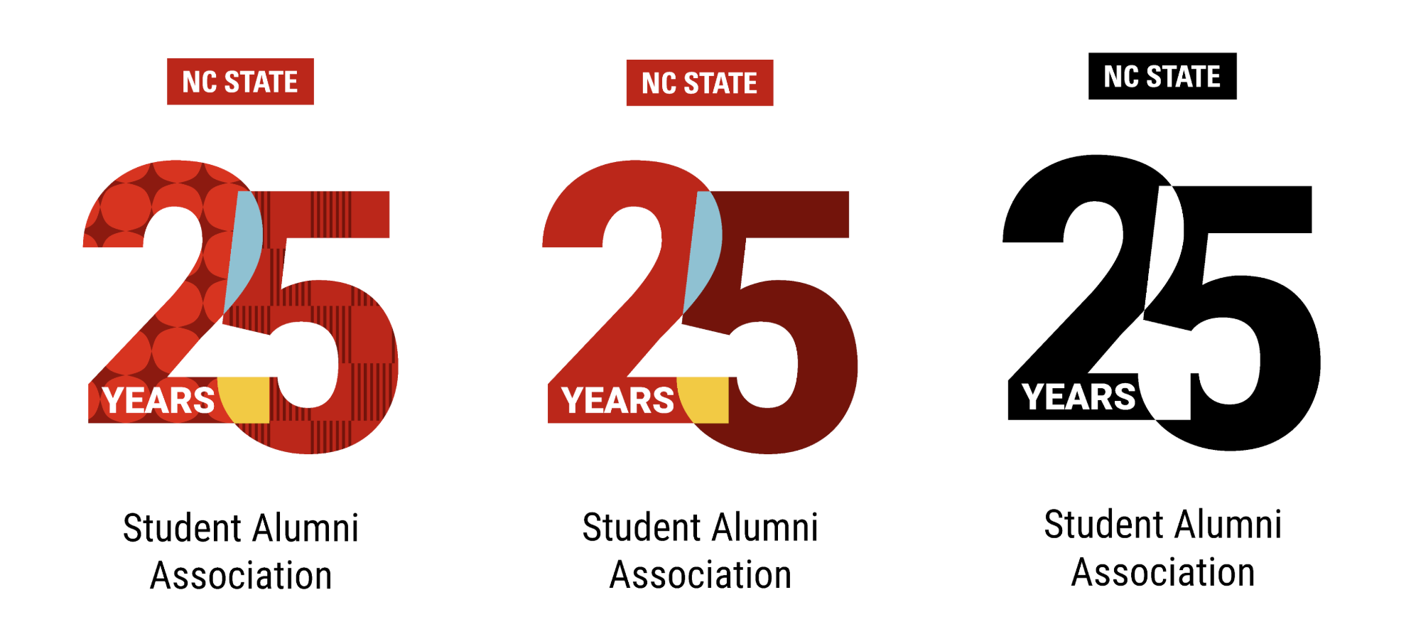SAA 25th anniversary logo